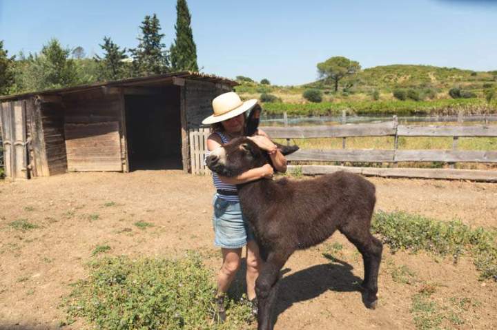 ASINERIE CAP ANE (10)