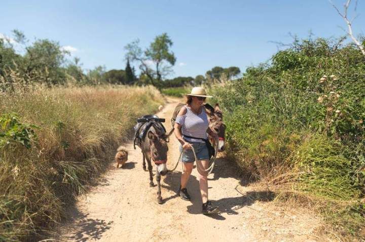 ASINERIE CAP ANE (12)