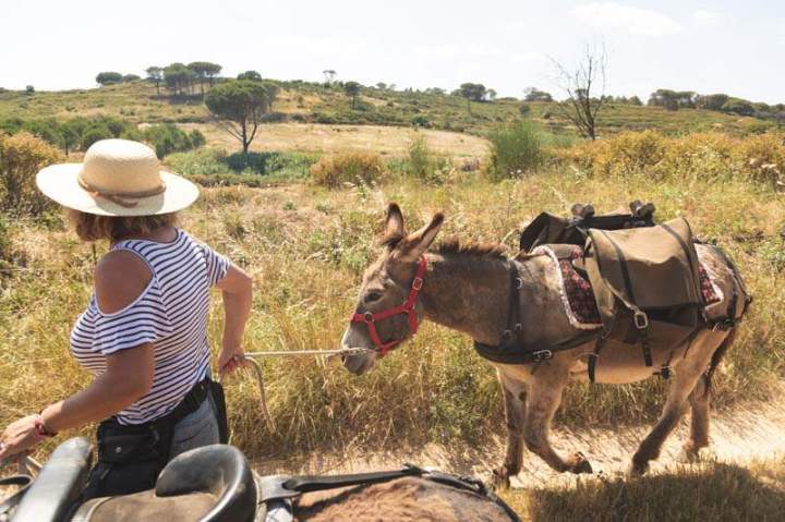 ASINERIE CAP ANE (15)