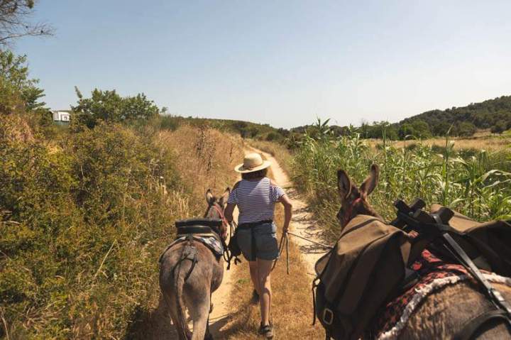 ASINERIE CAP ANE (16)