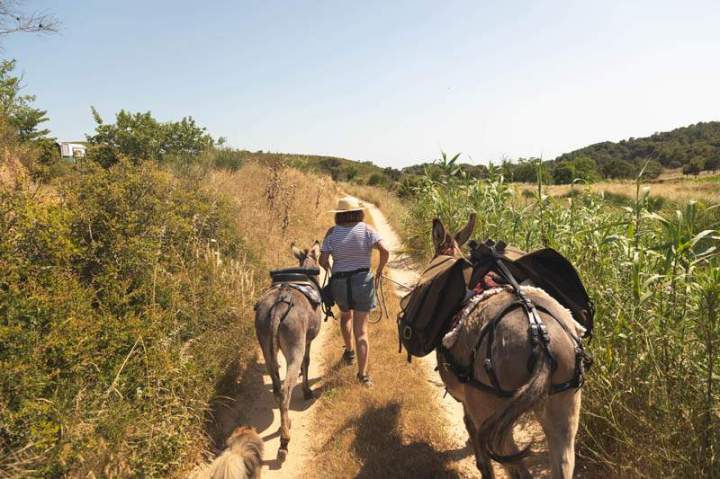 ASINERIE CAP ANE (17)