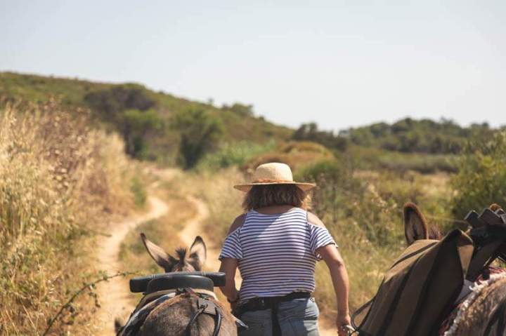 ASINERIE CAP ANE (18)