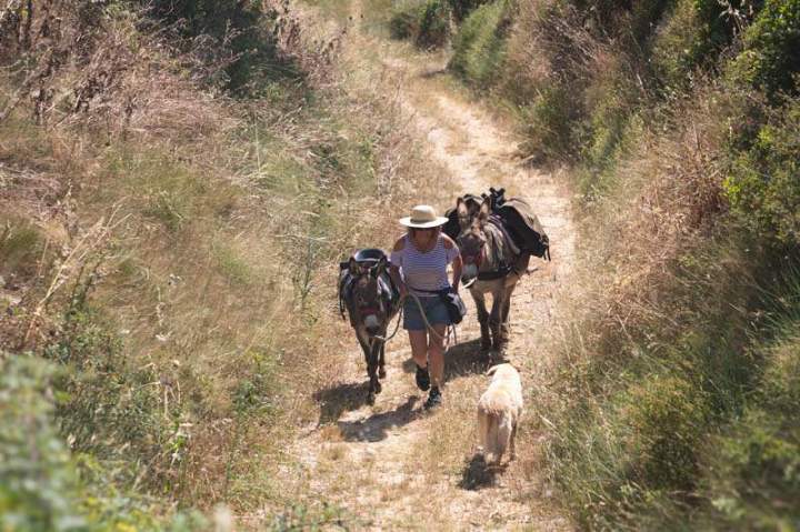 ASINERIE CAP ANE (22)