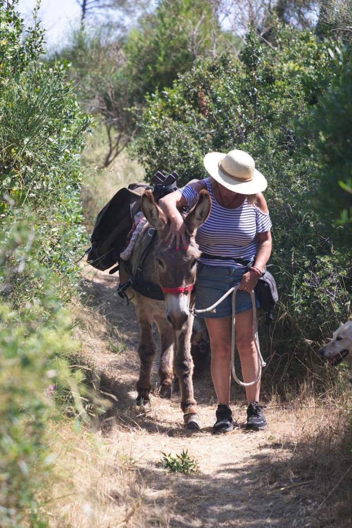 ASINERIE CAP ANE (23)