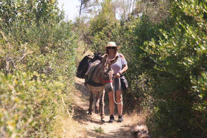 ASINERIE CAP ANE (25)