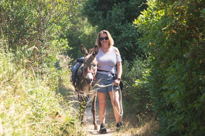 ASINERIE CAP ANE (26)