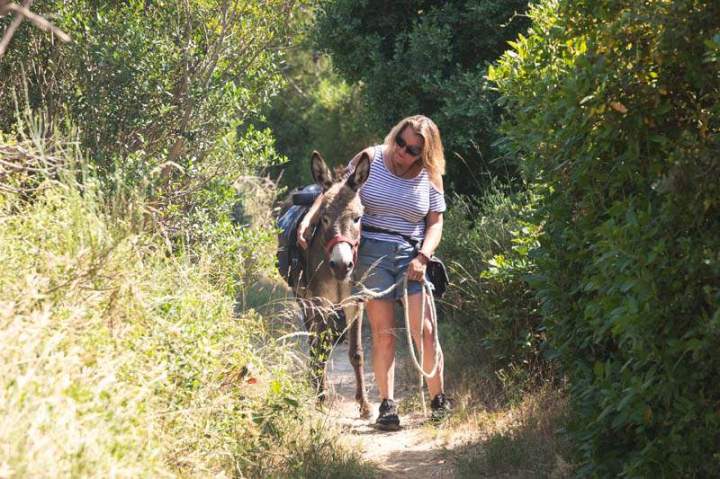 ASINERIE CAP ANE (27)