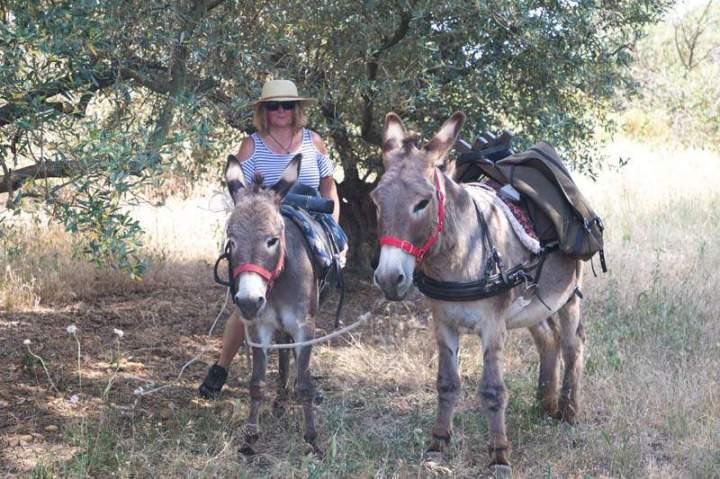 ASINERIE CAP ANE (28)