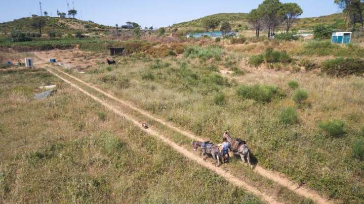 ASINERIE CAP ANE (33)