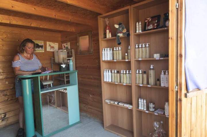 ASINERIE CAP ANE (34)