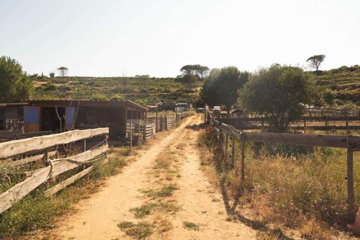 ASINERIE CAP ANE (39)