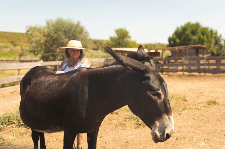 Promenades avec des ânes pour enfants Gard